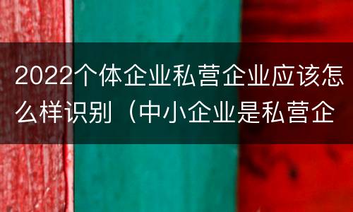 2022个体企业私营企业应该怎么样识别（中小企业是私营企业吗）