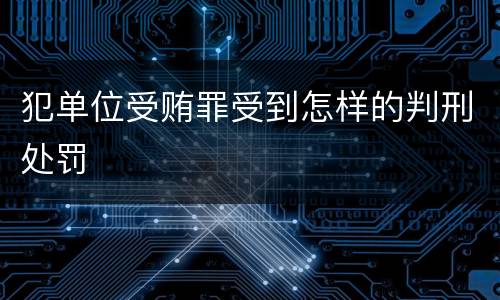 犯单位受贿罪受到怎样的判刑处罚