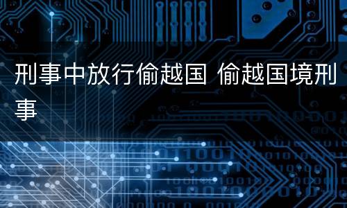 刑事中放行偷越国 偷越国境刑事