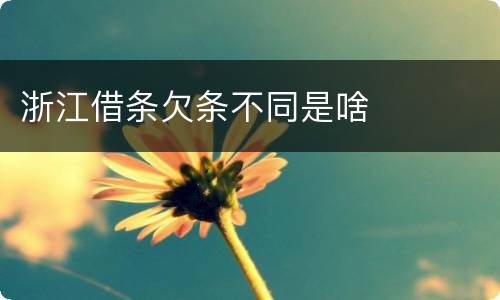 浙江借条欠条不同是啥