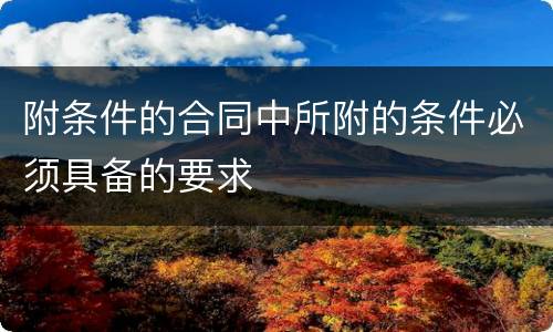 附条件的合同中所附的条件必须具备的要求