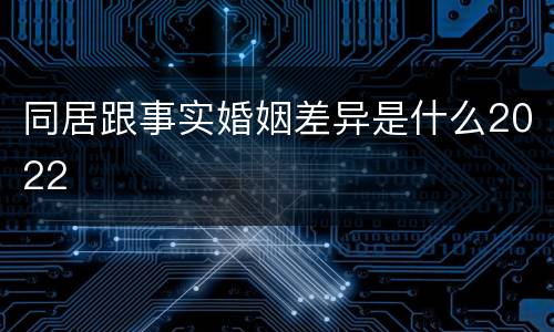 同居跟事实婚姻差异是什么2022