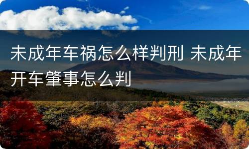 未成年车祸怎么样判刑 未成年开车肇事怎么判