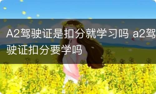 A2驾驶证是扣分就学习吗 a2驾驶证扣分要学吗
