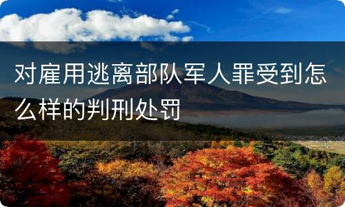 对雇用逃离部队军人罪受到怎么样的判刑处罚