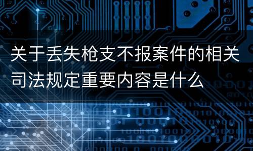 关于丢失枪支不报案件的相关司法规定重要内容是什么
