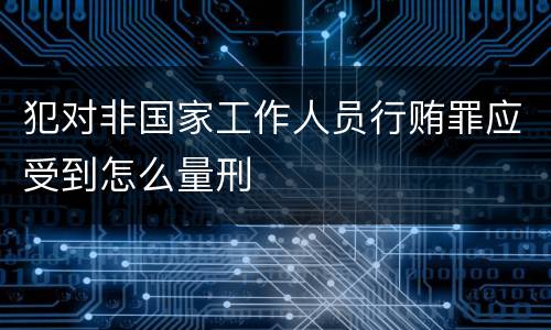 犯对非国家工作人员行贿罪应受到怎么量刑