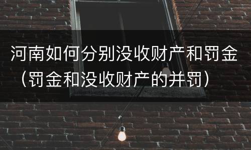 河南如何分别没收财产和罚金（罚金和没收财产的并罚）
