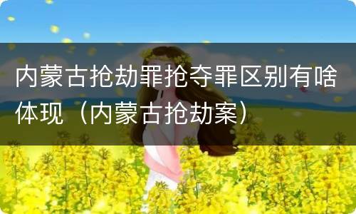 内蒙古抢劫罪抢夺罪区别有啥体现（内蒙古抢劫案）