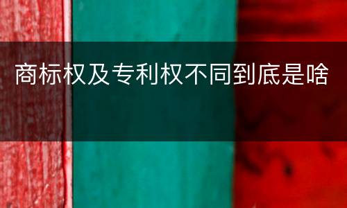 商标权及专利权不同到底是啥