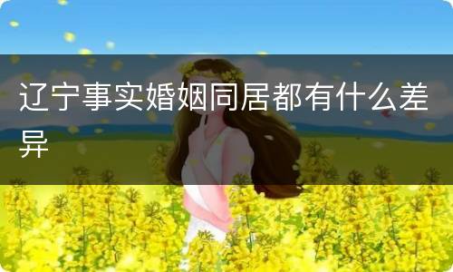 辽宁事实婚姻同居都有什么差异