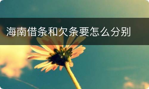 海南借条和欠条要怎么分别