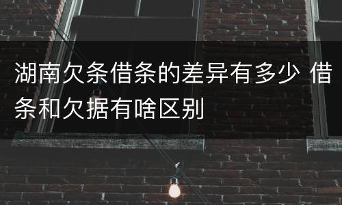 湖南欠条借条的差异有多少 借条和欠据有啥区别