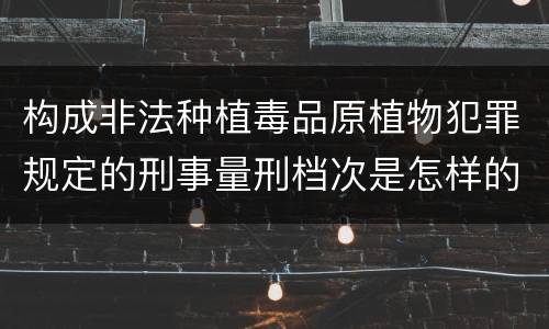 构成非法种植毒品原植物犯罪规定的刑事量刑档次是怎样的