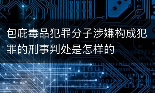 包庇毒品犯罪分子涉嫌构成犯罪的刑事判处是怎样的