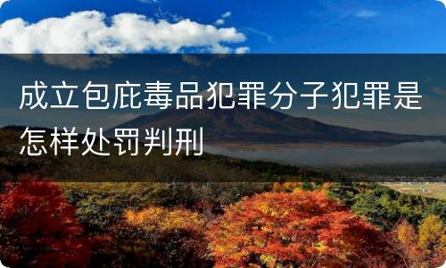成立包庇毒品犯罪分子犯罪是怎样处罚判刑