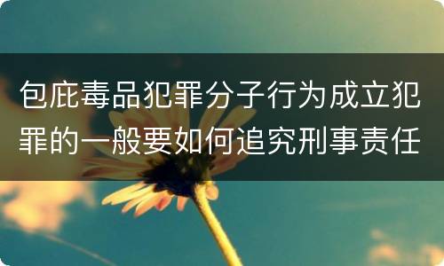 包庇毒品犯罪分子行为成立犯罪的一般要如何追究刑事责任