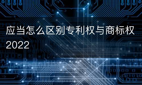 应当怎么区别专利权与商标权2022