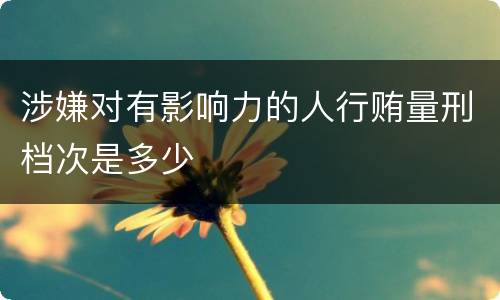 涉嫌对有影响力的人行贿量刑档次是多少
