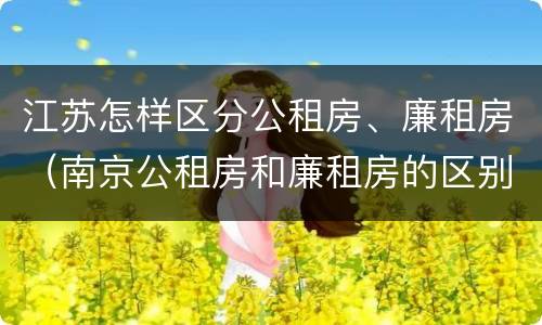 江苏怎样区分公租房、廉租房（南京公租房和廉租房的区别）