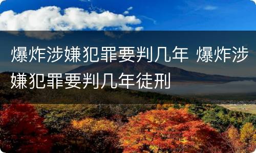 爆炸涉嫌犯罪要判几年 爆炸涉嫌犯罪要判几年徒刑