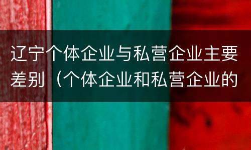 辽宁个体企业与私营企业主要差别（个体企业和私营企业的区别）