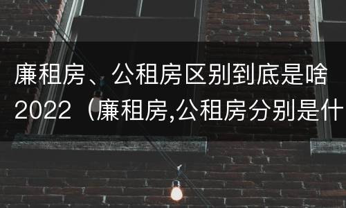 廉租房、公租房区别到底是啥2022（廉租房,公租房分别是什么意思?）
