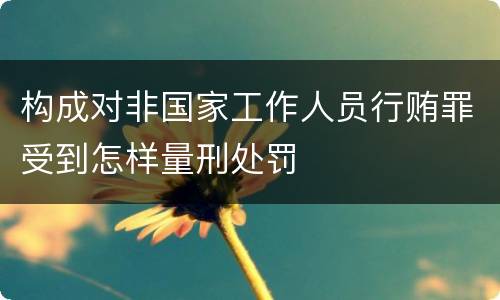 构成对非国家工作人员行贿罪受到怎样量刑处罚