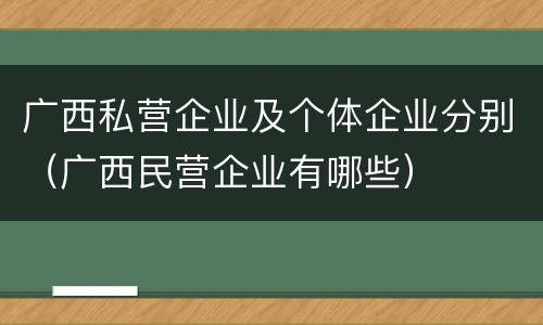 广西私营企业及个体企业分别（广西民营企业有哪些）