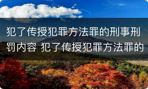 犯了传授犯罪方法罪的刑事刑罚内容 犯了传授犯罪方法罪的刑事刑罚内容包括