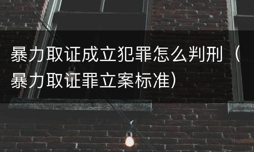 暴力取证成立犯罪怎么判刑（暴力取证罪立案标准）