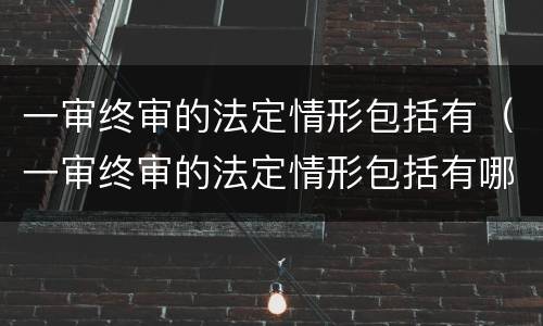 一审终审的法定情形包括有（一审终审的法定情形包括有哪些）