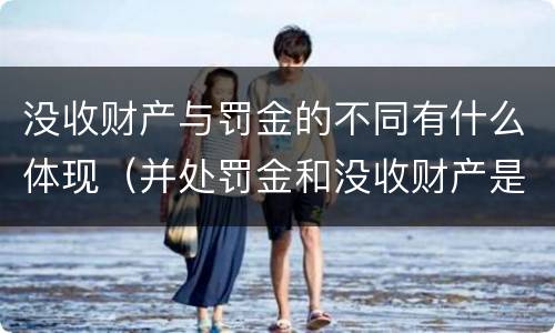 没收财产与罚金的不同有什么体现（并处罚金和没收财产是什么意思）