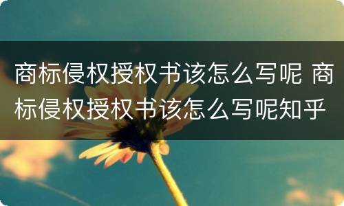 商标侵权授权书该怎么写呢 商标侵权授权书该怎么写呢知乎