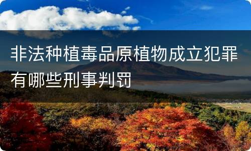 非法种植毒品原植物成立犯罪有哪些刑事判罚