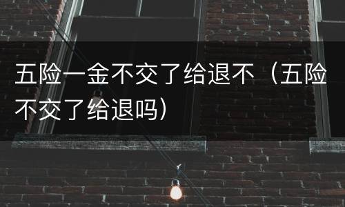 五险一金不交了给退不（五险不交了给退吗）