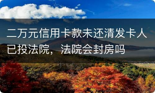 二万元信用卡款未还清发卡人已投法院，法院会封房吗