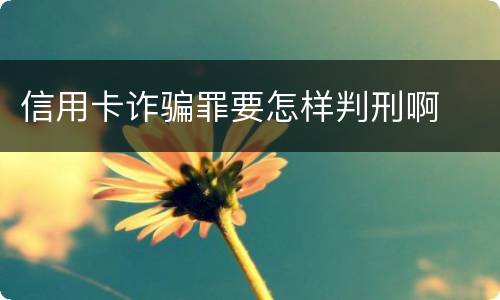 信用卡诈骗罪要怎样判刑啊