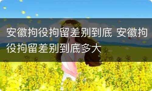 安徽拘役拘留差别到底 安徽拘役拘留差别到底多大