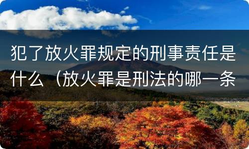 犯了放火罪规定的刑事责任是什么（放火罪是刑法的哪一条）