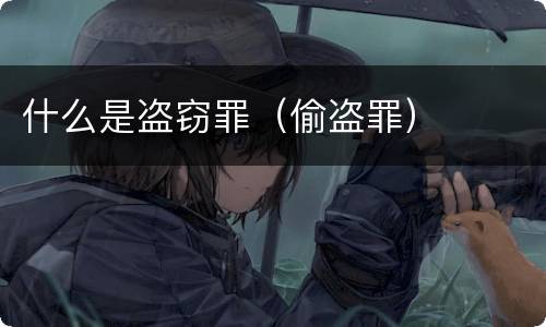 什么是盗窃罪（偷盗罪）