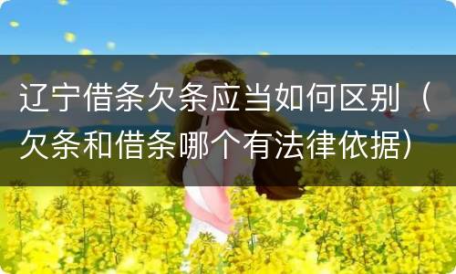 辽宁借条欠条应当如何区别（欠条和借条哪个有法律依据）