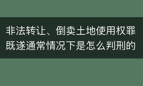 非法转让、倒卖土地使用权罪既遂通常情况下是怎么判刑的
