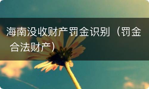 海南没收财产罚金识别（罚金 合法财产）