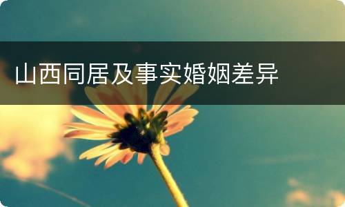 山西同居及事实婚姻差异