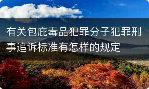 有关包庇毒品犯罪分子犯罪刑事追诉标准有怎样的规定
