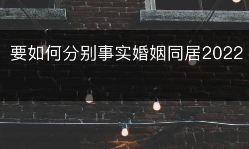 要如何分别事实婚姻同居2022