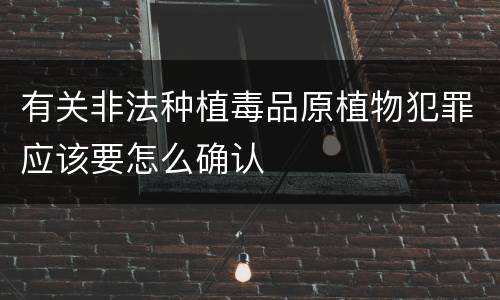 有关非法种植毒品原植物犯罪应该要怎么确认