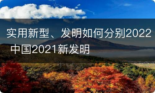 实用新型、发明如何分别2022 中国2021新发明