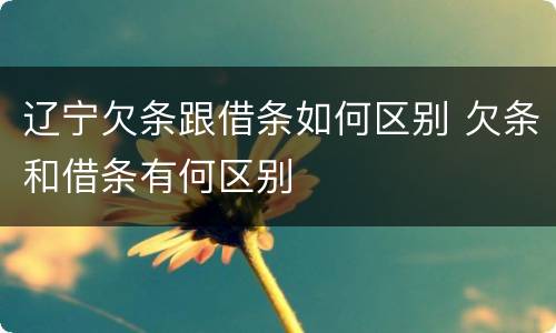 辽宁欠条跟借条如何区别 欠条和借条有何区别
